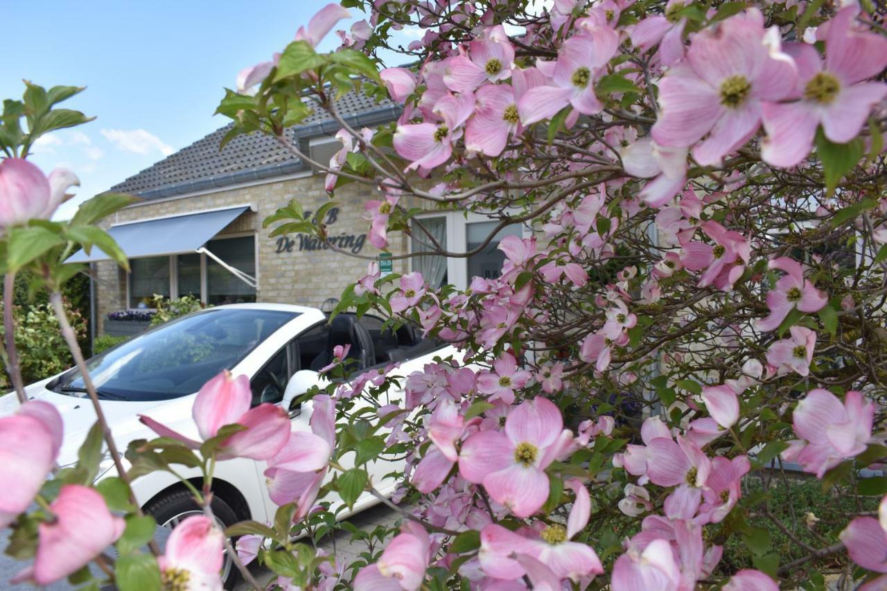 B&B De Watering Lommel Extérieur photo